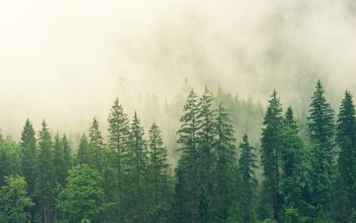 Essentielt udstyr til dig, der går på jagt eller elsker naturen